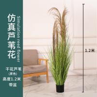 XU0611695